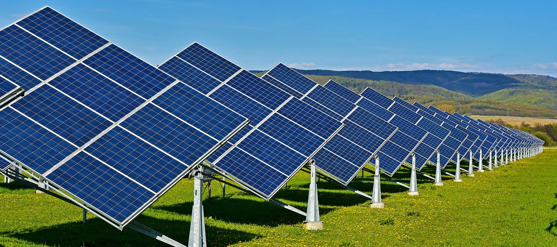 Global beverage brands join forces to accelerate renewable energy adoption